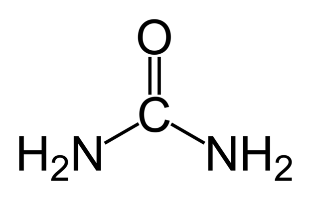 Picture of Urea / اوره